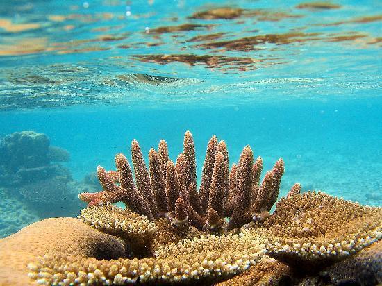 Blue Bay Resort ポートビラ エクステリア 写真